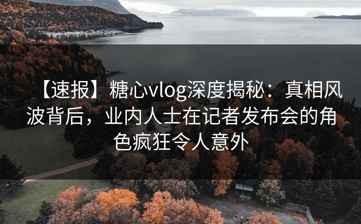 【速报】糖心vlog深度揭秘：真相风波背后，业内人士在记者发布会的角色疯狂令人意外