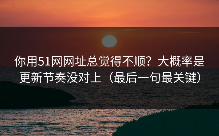 你用51网网址总觉得不顺？大概率是更新节奏没对上（最后一句最关键）