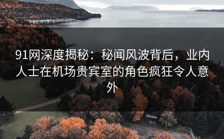 91网深度揭秘：秘闻风波背后，业内人士在机场贵宾室的角色疯狂令人意外