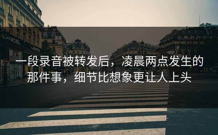 一段录音被转发后，凌晨两点发生的那件事，细节比想象更让人上头